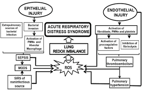Acute Respiratory Failure Pathophysiological Basis From A