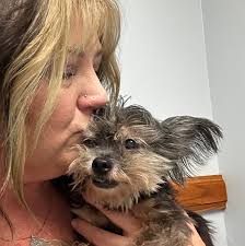 Acrylic Painting of the Golden Hour