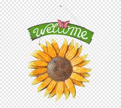 Bunga keluarga kenikir (asteraceae) tampaknya melambangkan pesona matahari. Bunga Harga Besi Tempa Taman Rumah Bunga Matahari Bunga Matahari Rumah Png Pngegg