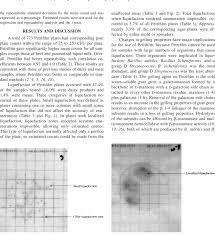 Image result for Group D Streptococcus