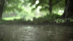 Download the perfect rain pictures. Rain Gif Phone Wallpaper Novocom Top