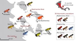 Hotel bocas town is located 1.2 mi from bocas del toro airport and 4.3 mi from the nature reserve. Map Of The Bocas Del Toro Archipelago Showing The Diversity Of Colour Download Scientific Diagram