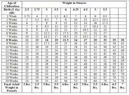 51 Right Dog Growth Chart Puppy