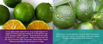 Makan limau kasturi tanpa reaksi keasaman. Tiada Limau Nipis Limau Kasturi Pun Okay