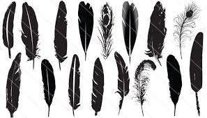 Bird Feather Clipart Black And White Feather Silhouette Vector Get Download Feather Vectors Silhouette Vector Silhouette Clip Art Feather Vector
