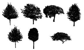 We did not find results for: 7 Black Tree Png Image Transparent Onlygfx Com