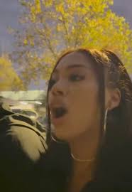 Why are there no photos of Darlie's mouth injuries?