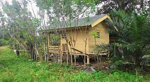 Model Terbaru Contoh Rumah Kebun Desain Rumah Kebun Sederhana Rumah Kebun Rumah Desain