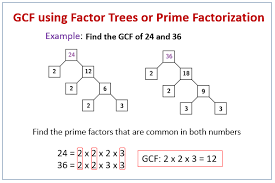 If she did all three activities today, in how many days will she do all three activities. Find Greatest Common Factor Examples Solutions Videos Worksheets Activities