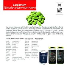 Looms Weaves Cardamom 250 Gm Homestead Produce From Kerala Special A Grade Cardamom 8 Mm Size Amazon In Grocery Gourmet Foods Lendal, xo பொருள் தமிழில்u, wpm பொருள் தமிழில். looms weaves cardamom 250 gm homestead produce from kerala special a grade cardamom 8 mm size