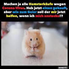 Da vernascht man einmal den inhalt des 24. Machen Ja Alle Hamsterkaufe Wegen Corona Virus Lustige Bilder Spruche Witze Echt Lustig