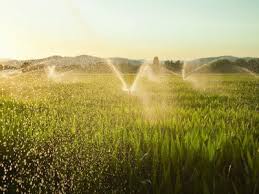 Based out of amityville, professional irrigation is a lawn irrigation company. Top 10 Best Lawn Irrigation Services In Mount Vernon Ny Angi Angie S List