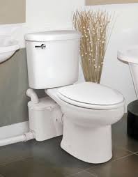 We did not find results for: Wednesday Product Feature Ascent Ii Macerating Toilet System Want That New Bathroom In The Basement Flooring Waterproof Basement Toilet Basement Toilet Pump