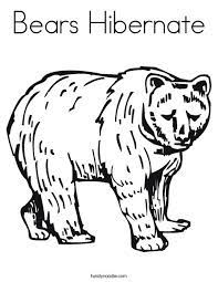 Then, they also are classified as caniforms or doglike carnivores. Bears Hibernate Coloring Page Twisty Noodle
