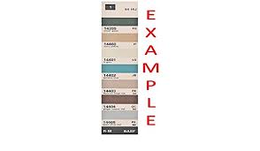 Basf Paint Color Chart Bahangit Co