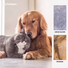 Within Life Love And Compassion Yasamin Icinden Sevgi Ve Sefkat