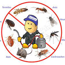 Rentokil's termite control technicians are equipped with automated detection devices that has moisture sensors, heat sensors and radar that help to identifiy termite. R D Pest Control Rdpestcontrol1 Twitter