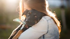 Maybe you would like to learn more about one of these? 4 Places To Adopt Your Next Pet In Savannah