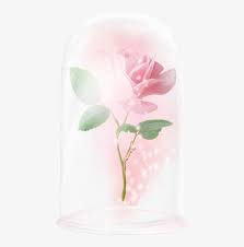 Floating Rose Beauty And The Beast Rose Enchanted Rose Garden Roses Transparent Png 444x750 Free Download On Nicepng