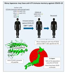 An external, dedicated secretariat will help maximize the efficiency of the citf's work. Immune Genetics And Previous Common Cold Infections Might Help Protect Japan From Covid 19 Eurekalert Science News