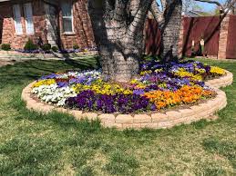 Check spelling or type a new query. Moesel Spring Gardening Is In Full Swing In Oklahoma