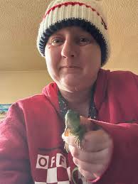 Horses grooming and playing in paddock ball