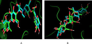 Image result for Coccinia barteri