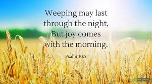 Image result for images JOY IN THE MORNING