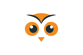 Big Eye Owl Icon Graphic By Friendesigns Creative Fabrica