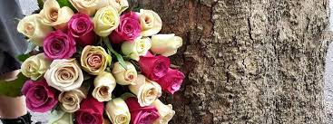 Better yet, they even have the option for same day delivery for those early birds who get their orders in before noon. Auckland S Leading Local Cbd Florist Same Day Delivery Service