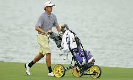 Image result for where to buy golf push carts