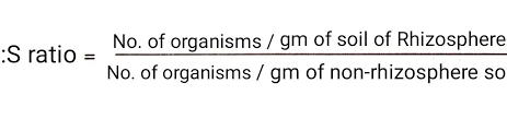 Check spelling or type a new query. Rhizosphere Microflora Significance And Rhizosphere Effect Biotechfront