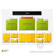 greenville municipal auditorium 2019 seating chart