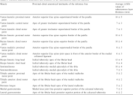 Atlas Of The Muscle Motor Points For The Lower Limb