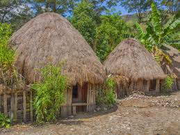 Cara menggambar rumah adat papua. Honai Rumah Adat Papua Berbentuk Jamur Yang Khusus Dihuni Para Pria Kumparan Com