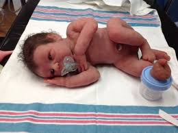 Birds And Bees Nursery Birds Bees Nursery Doll Shows 13 Bee Nursery Reborn Baby Boy Dolls Silicone Baby Dolls
