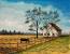Country Music Paintings
