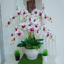 Gubahan bunga orkid sentiasa menjadi trend masa kini. Gubahan 5 6 Tangkai Orkid Latex Shopee Malaysia