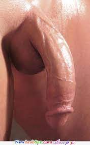 صور زب زبر أزبار كبير قضيب منتصب عربي أجنبي ألبوم كبير مختار بعناية