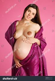 Beautiful Erotic Pregnant Female Stock Photo 5041438 | Shutterstock