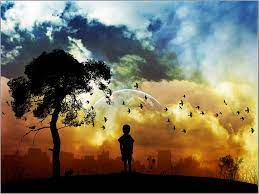 Maybe you would like to learn more about one of these? Hd Wallpaper Shadow Silhouette Tree Birds Boy Hd Digital Artwork Wallpaper Flare