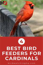 4 Best Bird Feeders To Attract Northern Cardinals Video In 2021 Best Bird Feeders Bird Feeders Backyard Birds Watching
