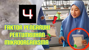 Pertumbuhan ditandai dengan bertambahnya bentuk, tinggi, panjang, berat dan volume makhluk hidup. Guna Roti Untuk Eksperimen Mikroorganisma Yang Lebih Mudah Dan Lagi Murah