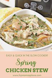Spring Chicken Stew Recipe Chicken Stew Stew Chicken Recipe Delicious Dinner Recipes