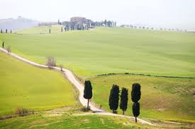 Check out our artigianato toscano italia selection for the very best in unique or custom, handmade pieces from our shops. Conhecendo As Belezas Da Toscana De Carro Italia Mirelle Tome