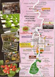 How can i contact tm resort cameron highlands? Trotter Prints Cameron Highlands Town Hopping Brinchang And Tanah Rata Brinchang Cameron Highlands Map Nursery
