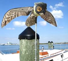Owl statues , (la | mm) also known as owl stones , (oos) are recurring objects in the legend of zelda series. Bird X Prowler Owl Realistic Owl Decoy Scarecrow With Flapping Wings Repel Pigeons Seagulls Bird Pest Control Walmart Com Walmart Com