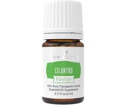 In an internal combustion engine, oil lubricates the parts that run against each other which saves them from wearing out and it. Cilantro Vitality Essential Oil Supports Healthy Immunity And More