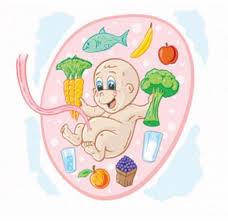 L'alimentazione deve essere mantenuta varia ed la pirosi gastrica è un disturbo molto comune in gravidanza. Alimentazione In Gravidanza Parte 1 Mangiamo Bene