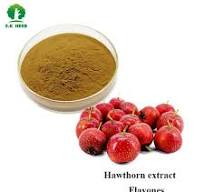 [Hot Item] E. K Herb Plant Extract Factory High Quality Maslinic Acid  2%-90% Hawthorn Berry Extract